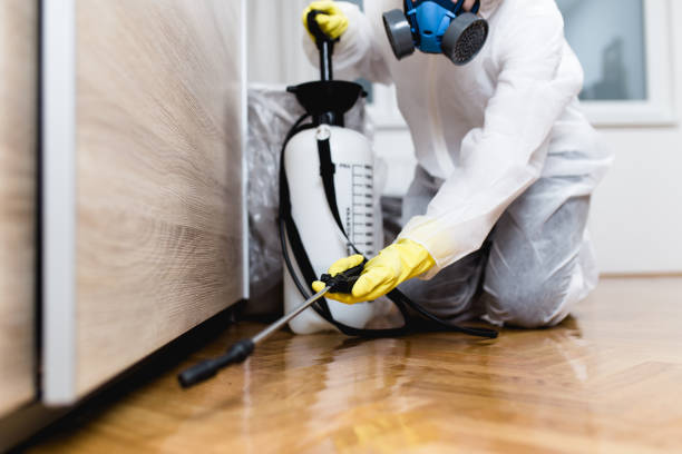 Best Exterminator Services  in Hampton, TN