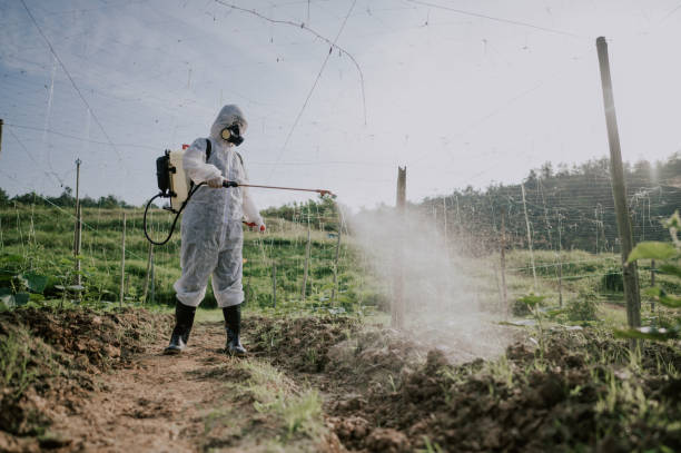 Best Mosquito Control Services  in Hampton, TN
