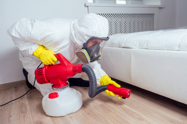 Best Best Pest Control Companies  in Hampton, TN