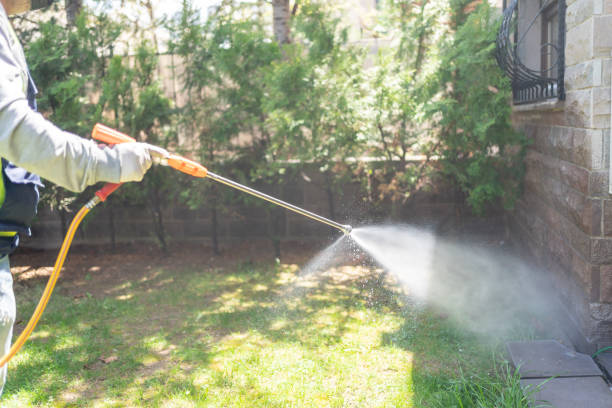 Best Wildlife Control Services  in Hampton, TN