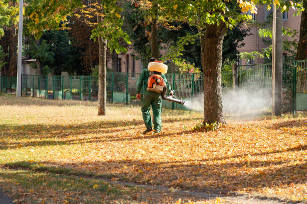 Best Rodent Control Near Me  in Hampton, TN