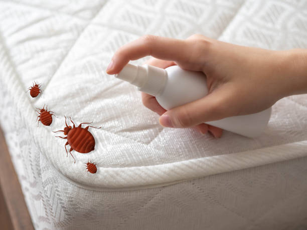 Best Flea Control Services  in Hampton, TN
