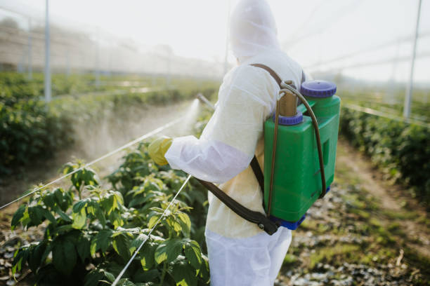 Best Insect Control  in Hampton, TN